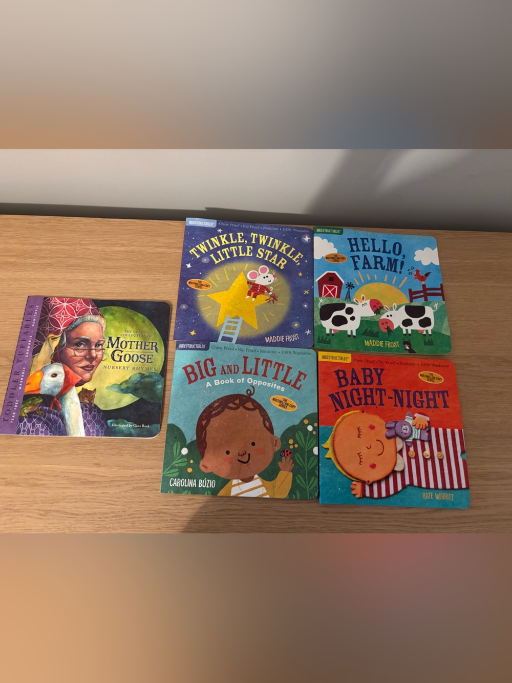 Indestructible lot of baby books